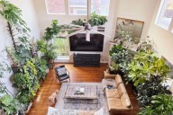 Protege tus plantas tropicales durante el invierno y evita que mueran