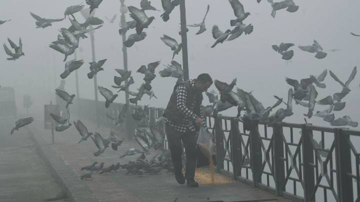Kashmir tourist’s smog-fog confusion is natural. We’ve forgotten what clean air looks like