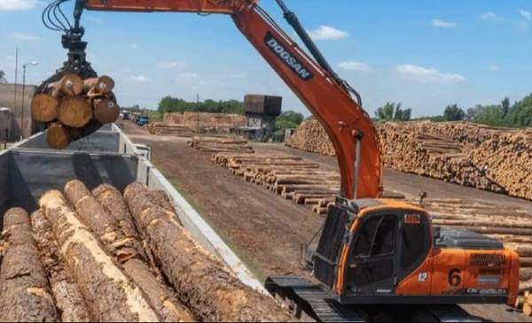 Madereras de Corrientes a la deriva: reducen personal y apuntan contra importaciones