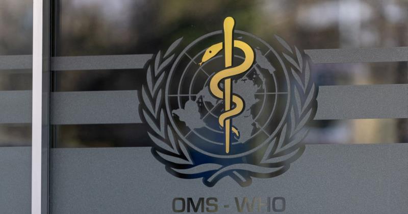 Malaria deaths rise as funding gap grows warns WHO