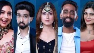 Bigg Boss 19 grand finale tonight: Top 5 finalists, prize money, telecast time and all you need to know