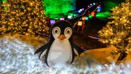 2025 Lights Under Louisville returns to Louisville Mega Cavern