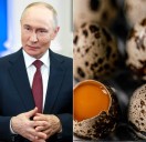 What's on Putin's plate — where every dish passes the 'trainer test'!