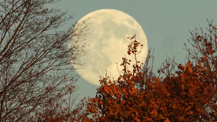 ¿Cuándo es la luna llena de diciembre? Cómo ver la Superluna Fría