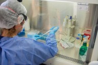 Descenso sostenido de casos de COVID-19 en la última semana