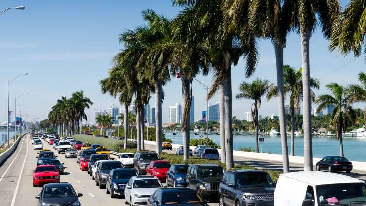 Traffic during Art Week Miami: How to get around