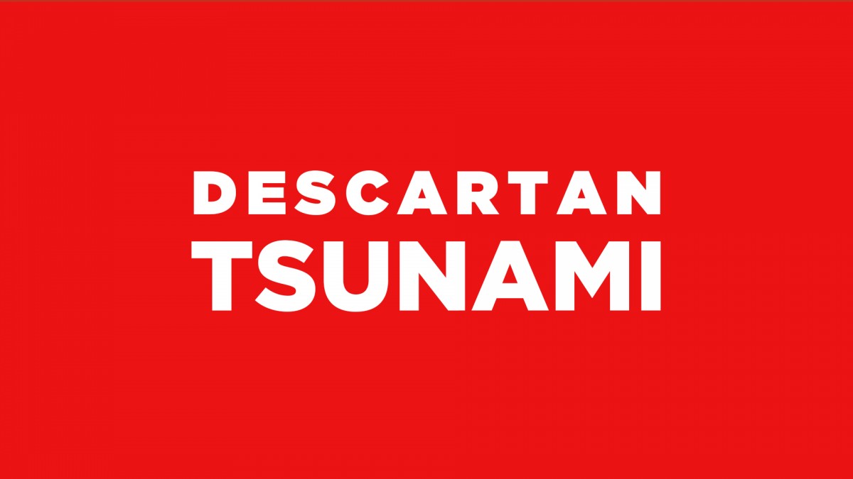 SHOA descarta tsunami para las costas de Chile tras fuerte temblor en Japón