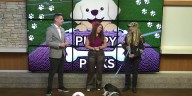 Puppy Picks - Union Parish vs Jena