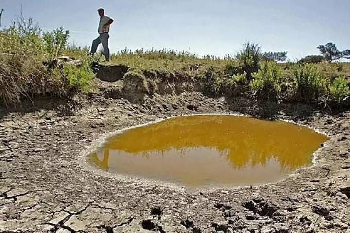Hopelchén sin pozos ni jagüeyes para ganadería; acuífero pierde 70% de agua, advierte UNAM