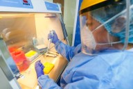 Influenza A H3N2: Minsa recalca que variante no ha ingresado a Sudamérica