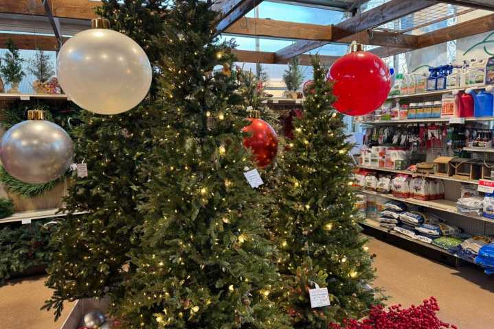Tariffs add to holiday costs for artificial trees