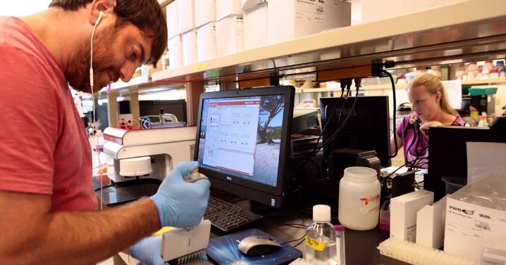 BioGenerator seeks investors for new St. Louis