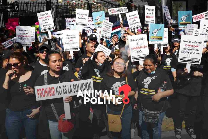 Prohibición de vapeadores, terreno fértil para el mercado negro, advierten legisladores