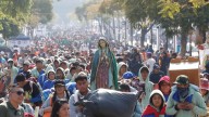 Cuántos millones de peregrinos visitarán a la Guadalupana