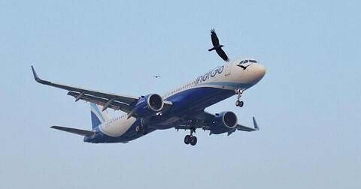 Network fully restored, says IndiGo