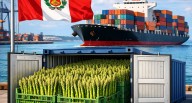 Donald Trump | Estados Unidos | agroexportaciones | Entre el 2012 y el 2024 el espárrago pasó del primer al quinto lugar de las agroexportaciones peruanas  | Jose Jeri | Congreso 