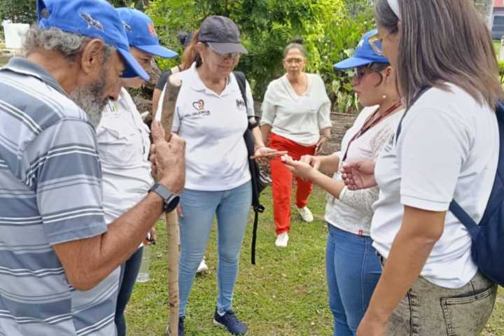 IMA impartirá talleres colaborativos en campo a colegios de Valencia