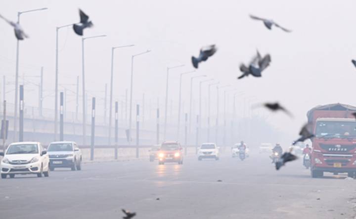 Air pollution can heighten anxiety and trigger panic