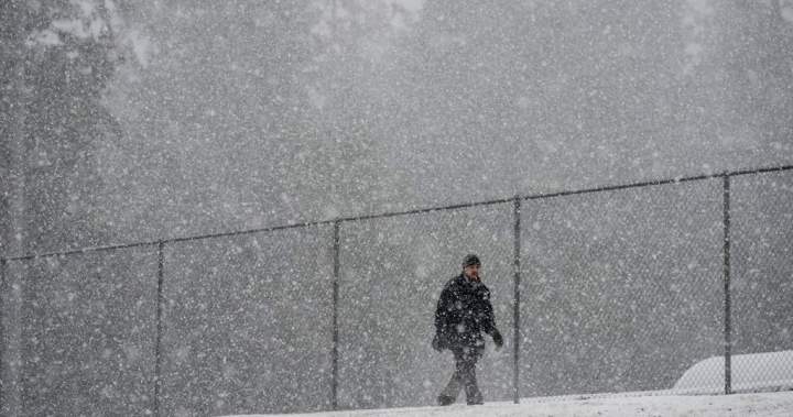 Snow, freezing rain warnings issued for B.C. Central Interior