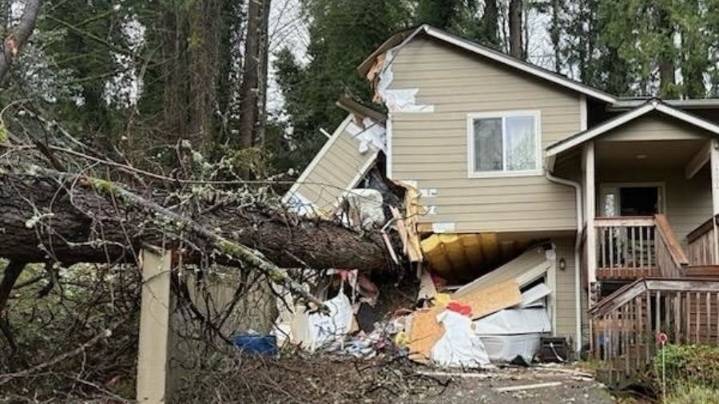 Large tree slices through home in Kitsap County