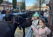 La feria de Santa Lucía arranca llena de ambiente, ganado y lo mejor del caserío en Zumarraga y Urretxu