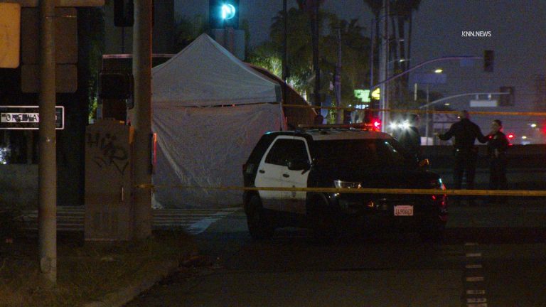 Woman shot to death in South LA