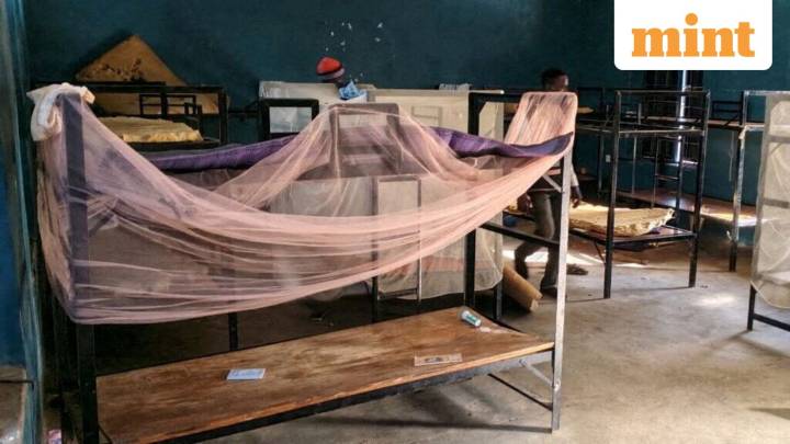 100 kids released, fate of 165 unknown in one of Nigeria's worst mass abductions