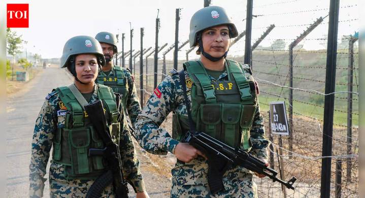 ‘Over 100 terrorists waiting at launchpads’. Why India could see more infiltration on LoC