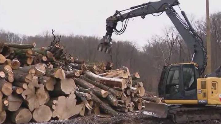 ‘We are fully open’: One year after Camp Small fire, yardmaster reflects on changes