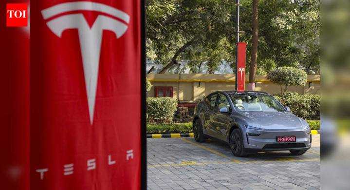Rough November for Elon Musk's Tesla: US sales sink to nearly 4-year low; cheaper EV versions fail to spark demand
