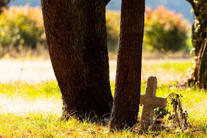 A 22-year-old came to Michigan to pick blueberries. Weeks later, he was dead
