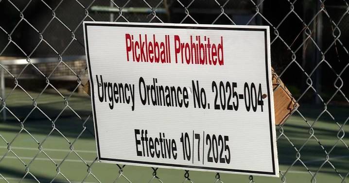 City council permanently bans pickleball