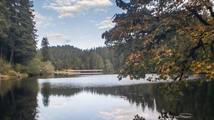 Lake Sylvia State Park closes as rain stresses 100