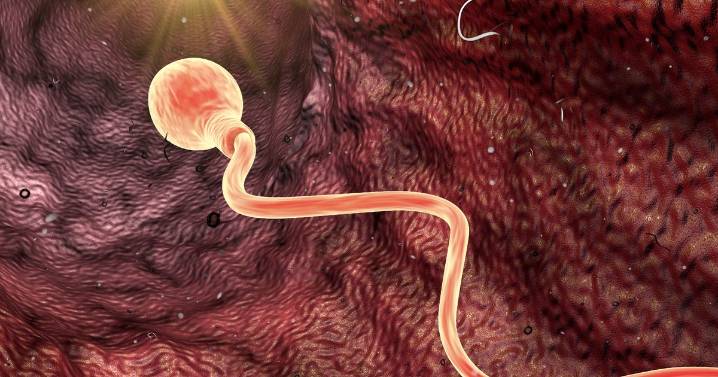 Sperm donor with 'cancer causing gene' helped conceive nearly 200 children