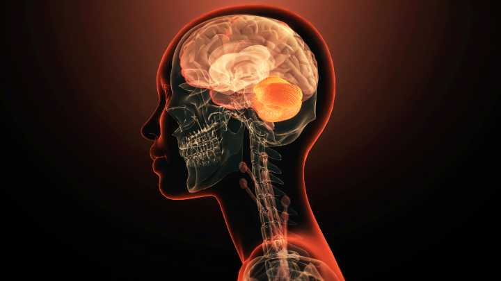 Scientists Discover The First Single Gene to Directly Cause Mental Illness