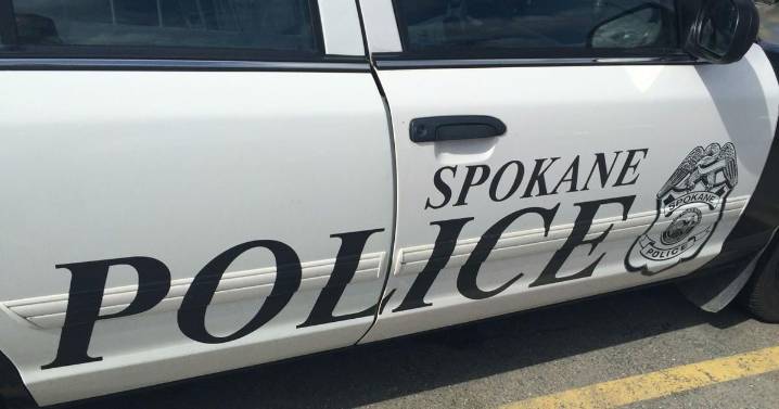 Spokane police unveil new online crime data dashboard