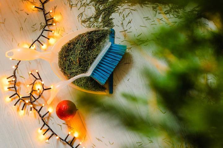 Have a live Christmas tree? These tips will help you keep it fresh and green through the holiday season
