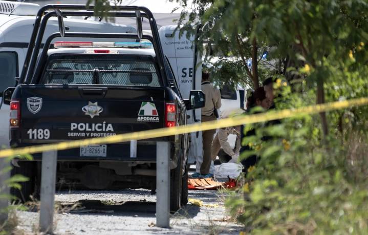 Homicidios en México disminuyeron 37% en los primeros meses de Sheinbaum como presidenta