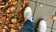 Clearing Leaves From The Sidewalk: Is It Your Responsibility?