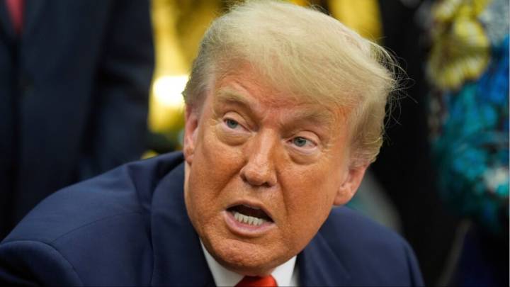 'Was Meant For Babies Of Slaves, Not The Rich': Donald Trump On US Birthright Citizenship