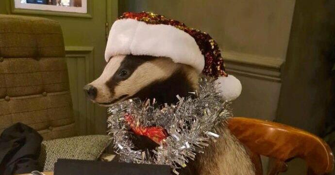Pub staff and regulars heartbroken beloved badger stolen