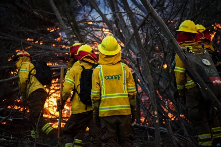 Alerta Roja en Limache: incendio avanza hacia viviendas y obliga a evacuaciones