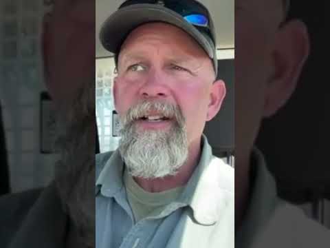 Lineman works to rescue bear who climbed a utility pole in Cochise County