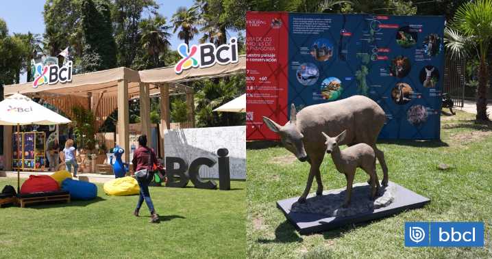 Con gran asistencia, actividades familiares y charlas sostenibles: finalizó el 4° Festival Ladera Sur