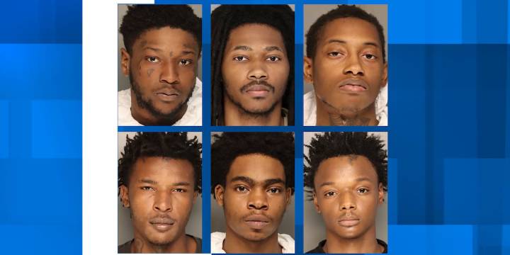 8 arrested in Colleton County drive-by investigations; drugs, guns recovered