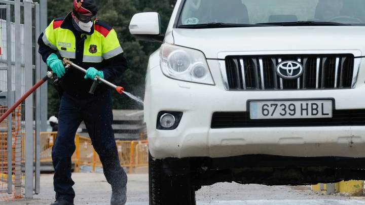 El Gobierno eleva a 13 el número de jabalíes que han dado positivo en peste porcina
