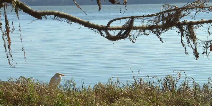 Alachua County commissioners approve 150-unit housing development near Newnans Lake
