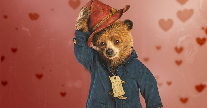 A Paddington Bear boyfriend is what we all want this Christmas