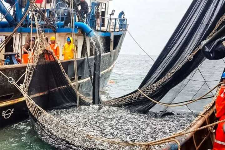 La discusión sobre pesca en áreas naturales protegidas es ideológica