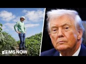 'Far cry from what we need': Farmer reacts to Trump's $12B aid package